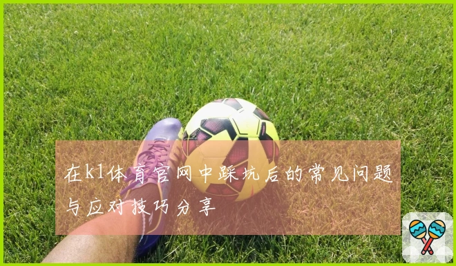 在k1体育官网中踩坑后的常见问题与应对技巧分享