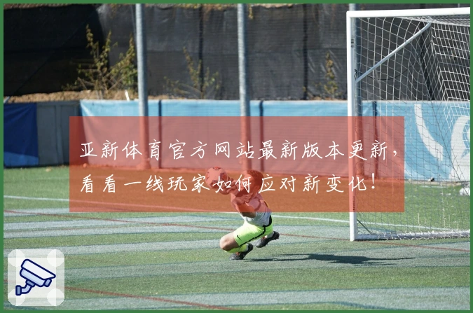 亚新体育官方网站最新版本更新，看看一线玩家如何应对新变化！